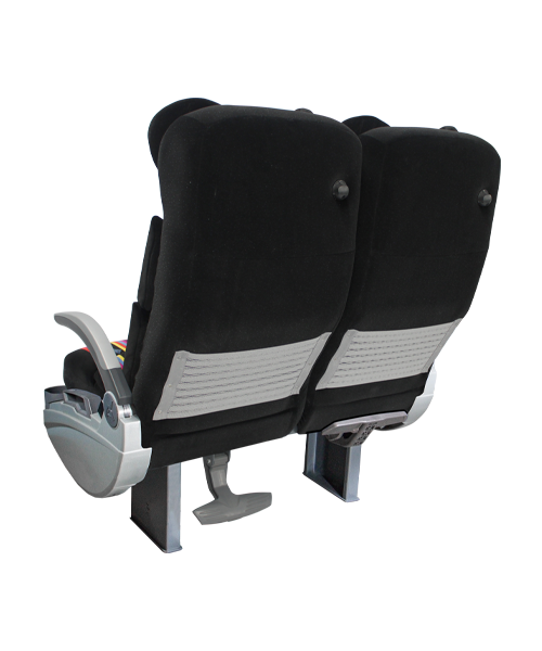 Stelam Inter Posterior